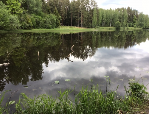 Nemokamas poilsis Estijos gamtoje